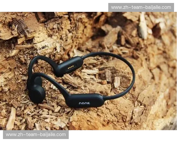 打开“凯云体育入口”，畅享极致运动体验